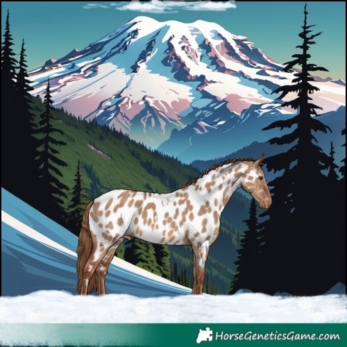Horse Color:White Spotted Red Dun Near Leopard 