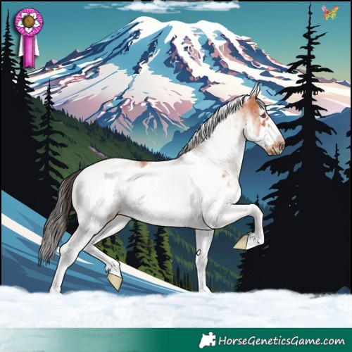 Horse Color:White Spotted Bay Frame 