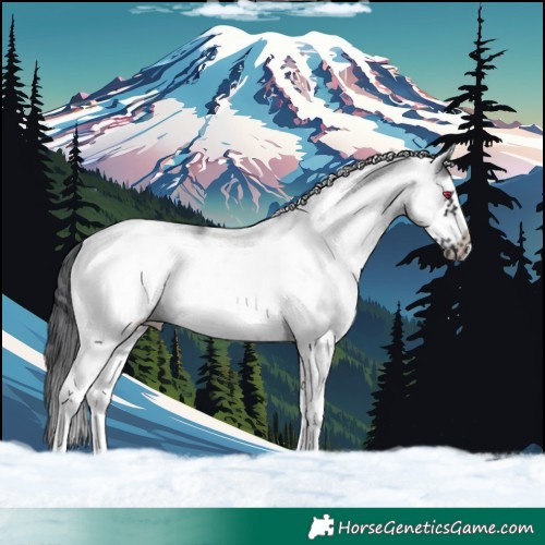 Horse Color:White Spotted Black Frame Rabicano 