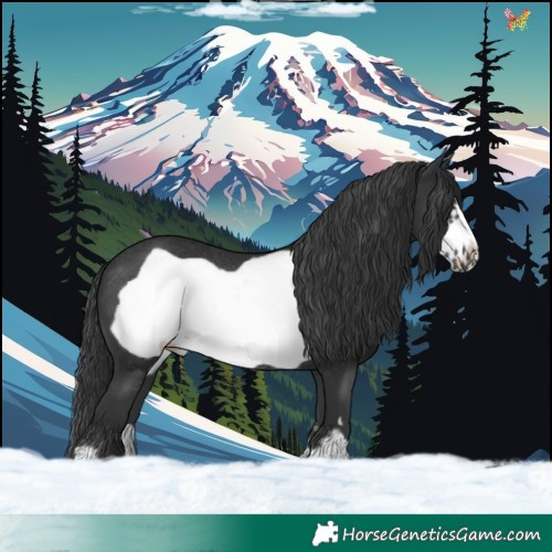 Horse Color:Black Frame Rabicano 