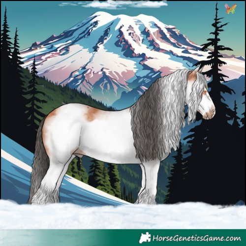 Horse Color:White Spotted Bay Frame Rabicano 