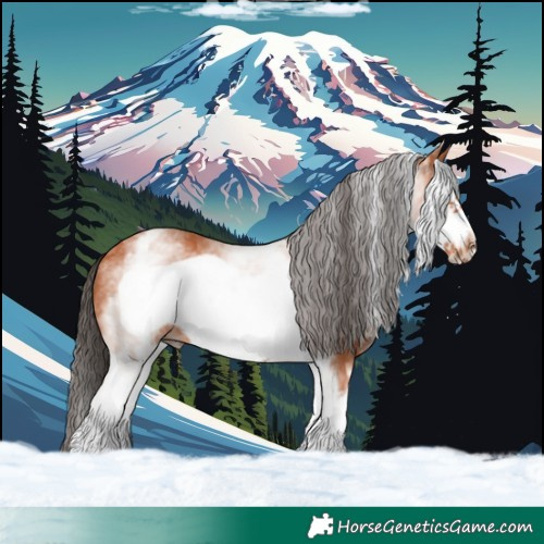 Horse Color:White Spotted Bay Frame Rabicano 