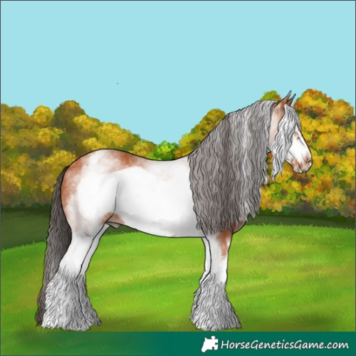 Horse Color:White Spotted Bay Frame Rabicano