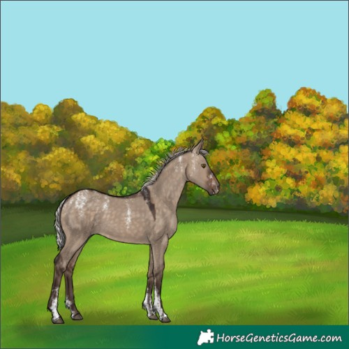 Horse Color:Powder White Silver Brown Dun 