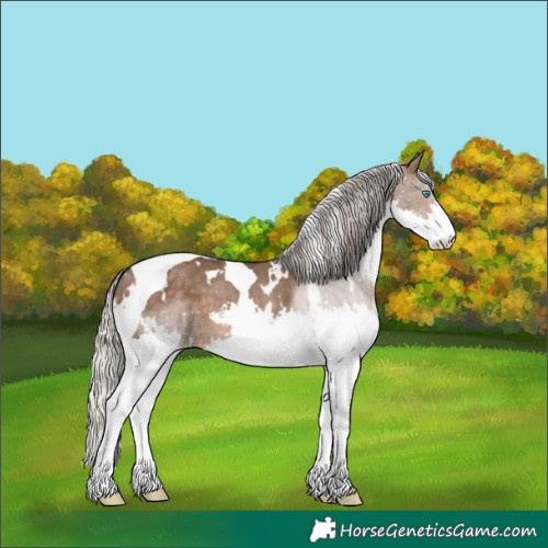 Horse Color:White Spotted Silver Brown Dun Splash Tobiano 