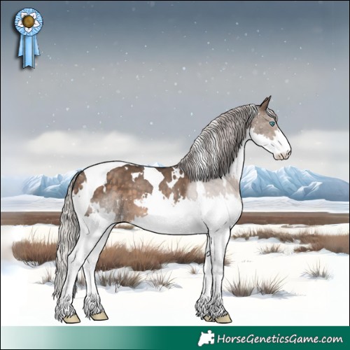 Horse Color:White Spotted Silver Brown Dun Splash Tobiano 