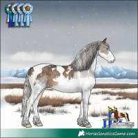 Horse Color:White Spotted Silver Brown Dun Splash Tobiano
