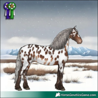 Horse Color:White Spotted Silver Brown Appaloosa 