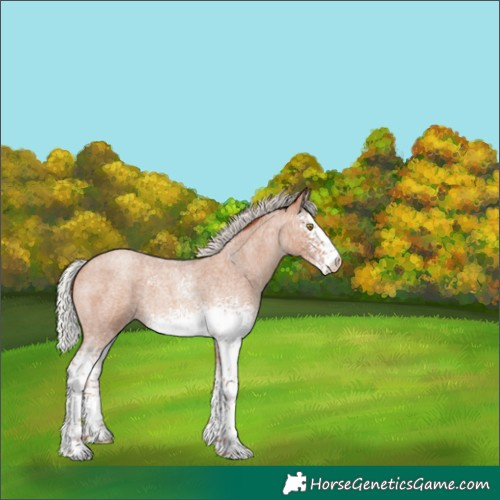 Horse Color:White Spotted Silver Sable Champagne Roan 
