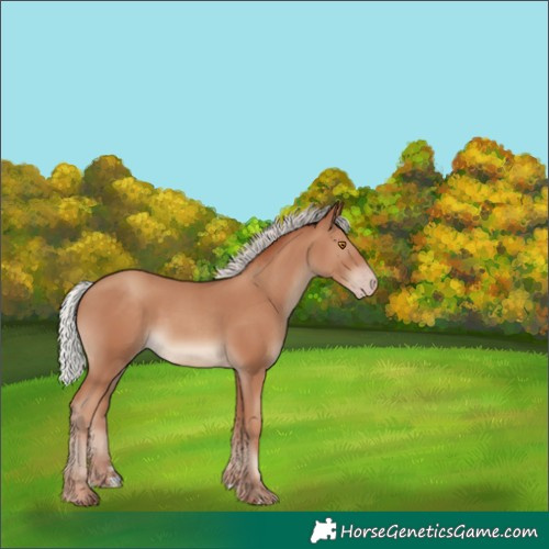 Horse Color:Silver Classic Champagne 