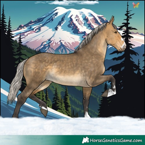 Horse Color:Silver Buckskin Dun