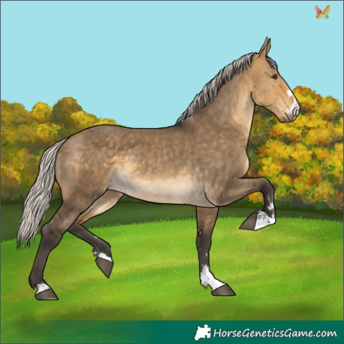 Horse Color:Silver Buckskin Dun 
