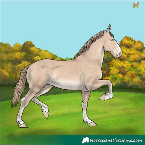Horse Color:Perlino