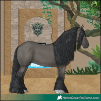 Horse Color:Grullo 