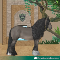 Horse Color:Grullo
