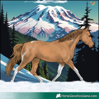 Horse Color:Chestnut Tobiano 