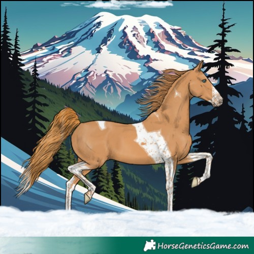 Horse Color:Chestnut Splash Tobiano 