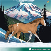 Horse Color:Chestnut Splash Tobiano