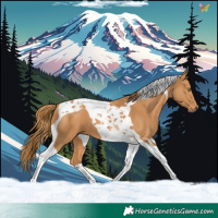Horse Color:Chestnut Tobiano 