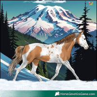 Horse Color:Chestnut Splash Tobiano