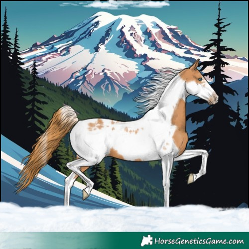 Horse Color:Chestnut Tobiano Frame 