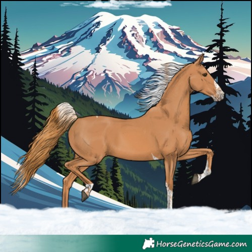 Horse Color:Chestnut Splash Tobiano 