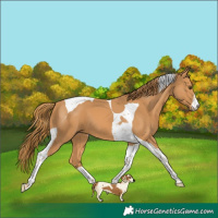 Horse Color:Chestnut Tobiano 