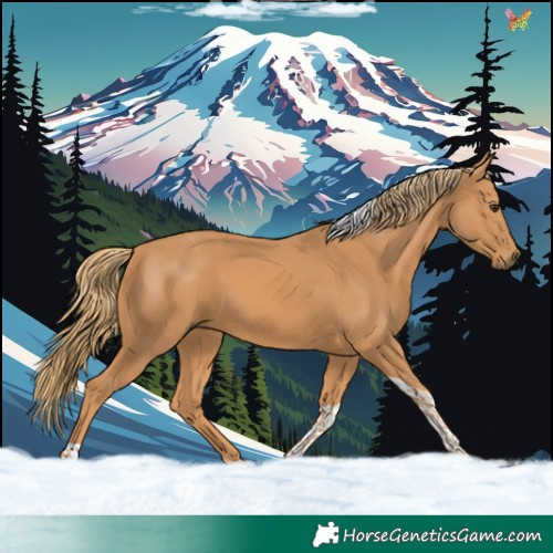 Horse Color:Chestnut Tobiano 