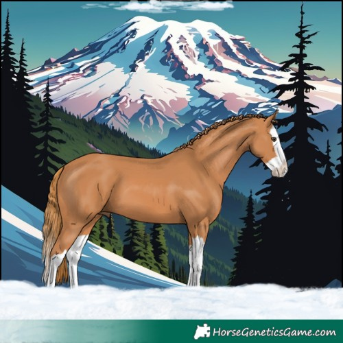 Horse Color:Chestnut Splash 