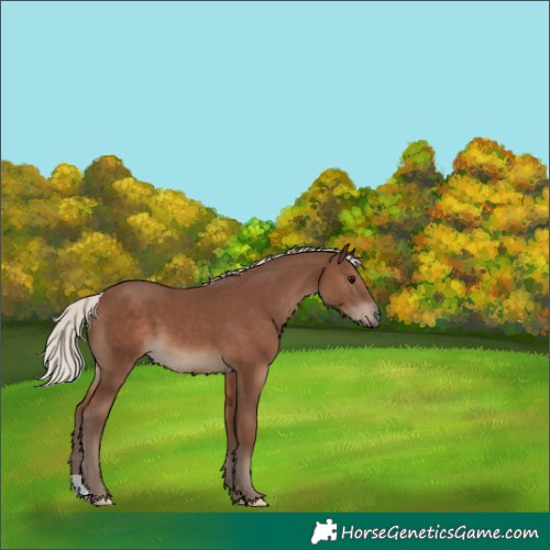 Horse Color:Silver Black