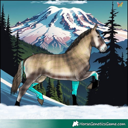 Horse Color:Void Plaid Brown Onyx Tobiano