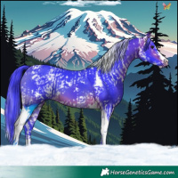 Horse Color:Watercolor White Spotted Bay Splash and Watercolor Bay Tobiano