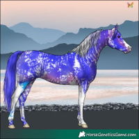 Horse Color:Watercolor White Spotted Bay Splash  and Watercolor Bay Tobiano 