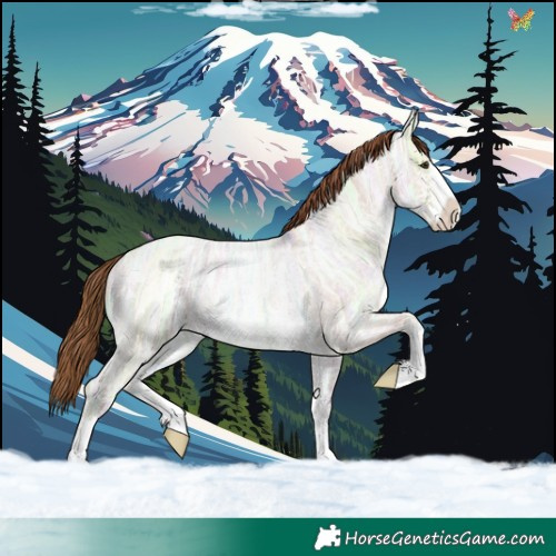 Horse Color:Red Dun Ice Roan Sabino 