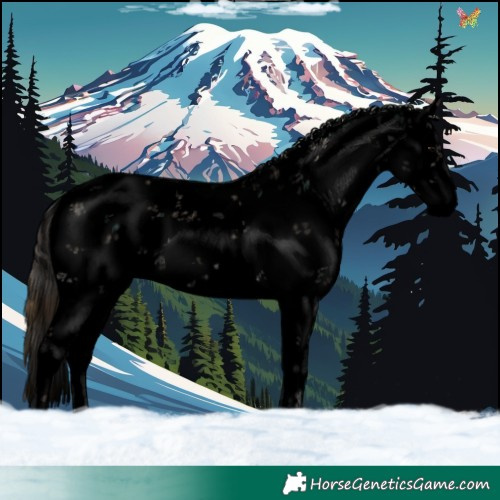 Horse Color:Void Plaid White Spotted Grullo Onyx Sabino Rabicano