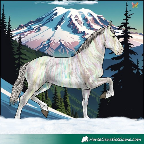 Horse Color:Silver Grullo Ice Sabino 