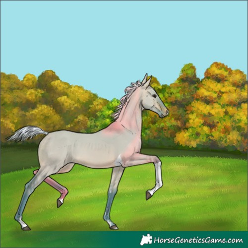 Horse Color:Watercolor Silver Brown Dun Tobiano 