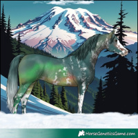 Horse Color:Watercolor White Spotted Brown Splash Rabicano 