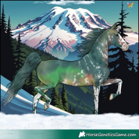 Horse Color:Watercolor White Spotted Brown Splash Rabicano