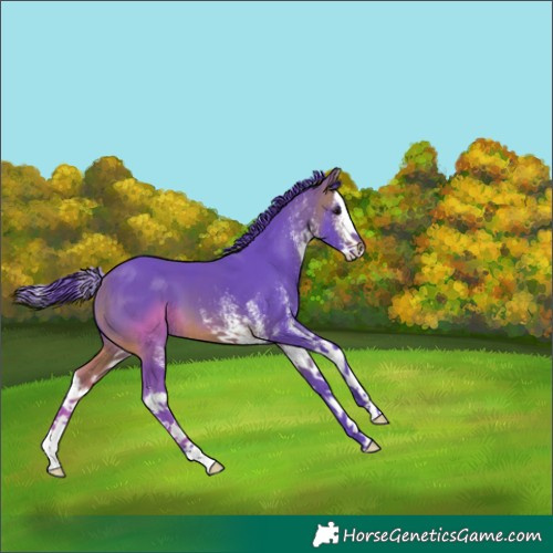 Horse Color:Watercolor White Spotted Bay Splash 