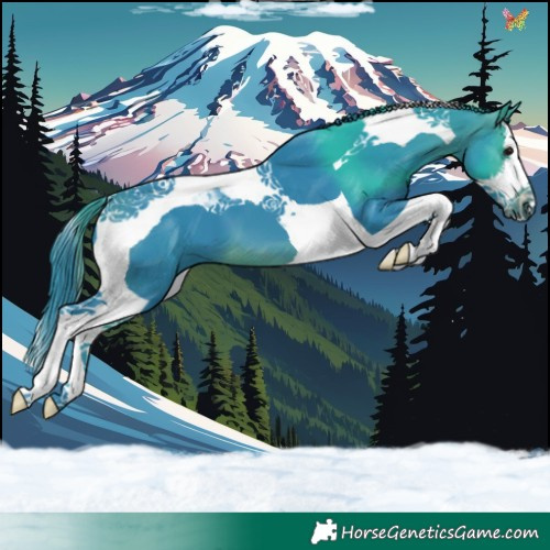 Horse Color:Watercolor White Spotted Brown Splash Tobiano 