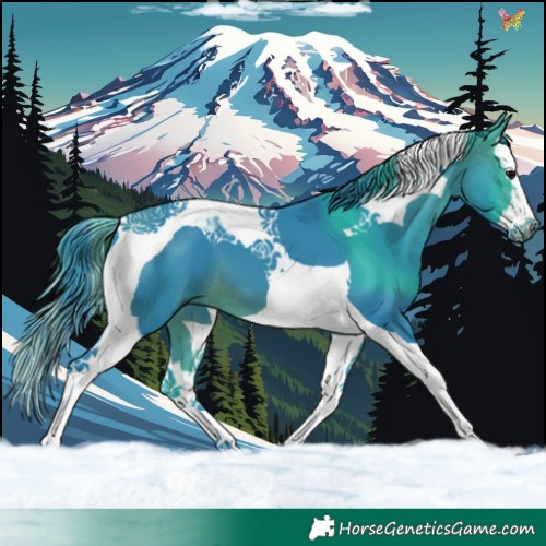 Horse Color:Watercolor White Spotted Brown Splash Tobiano 