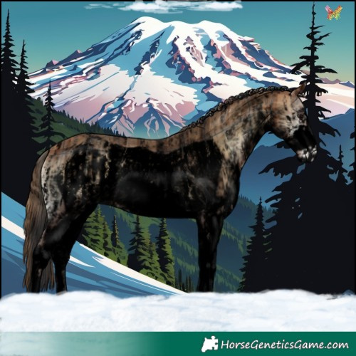 Horse Color:Void Plaid  White Spotted Bay Onyx Varnish  and Void Plaid  White Spotted Bay Onyx Frame Varnish 