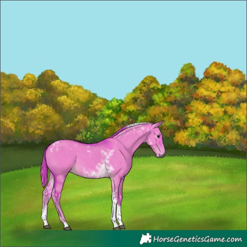 Horse Color:Gray Platinum Watercolor Red Dun Tobiano 