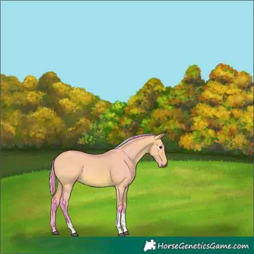 Horse Color:Gray Watercolor Chocolate Bay Dun Tobiano 