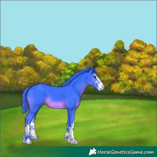 Horse Color:Watercolor White Spotted Black 