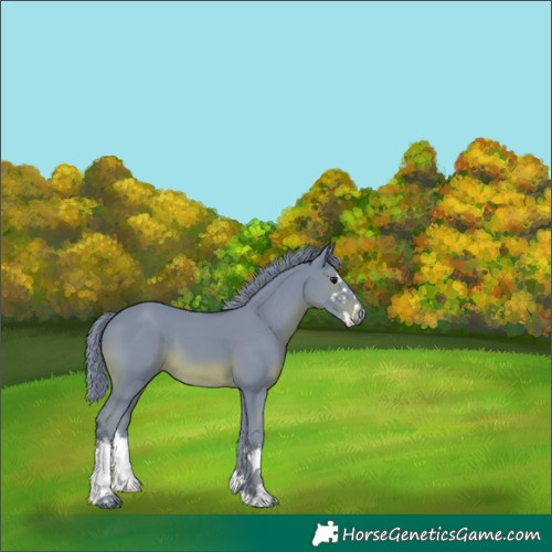 Horse Color:Watercolor White Spotted Black 