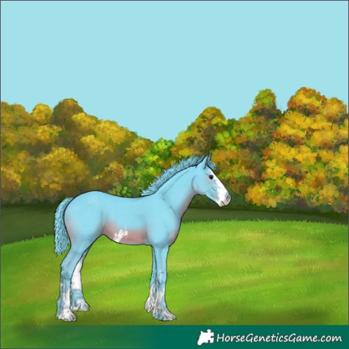 Horse Color:Watercolor White Spotted Black 