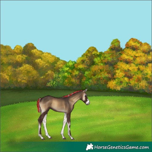 Horse Color:Gray Painted Silver Blue Onyx Sabino 