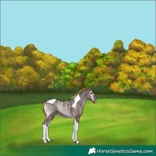 Horse Color:Powder White Platinum Painted Silver Blue Onyx Tobiano 